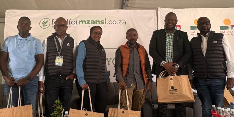 Make your way to Nampo Cape in Bredasdorp for the Food For Mzansi and Land Bank lunchtime conversations. Photo: Meshaan van Wyk/Food For Mzansi