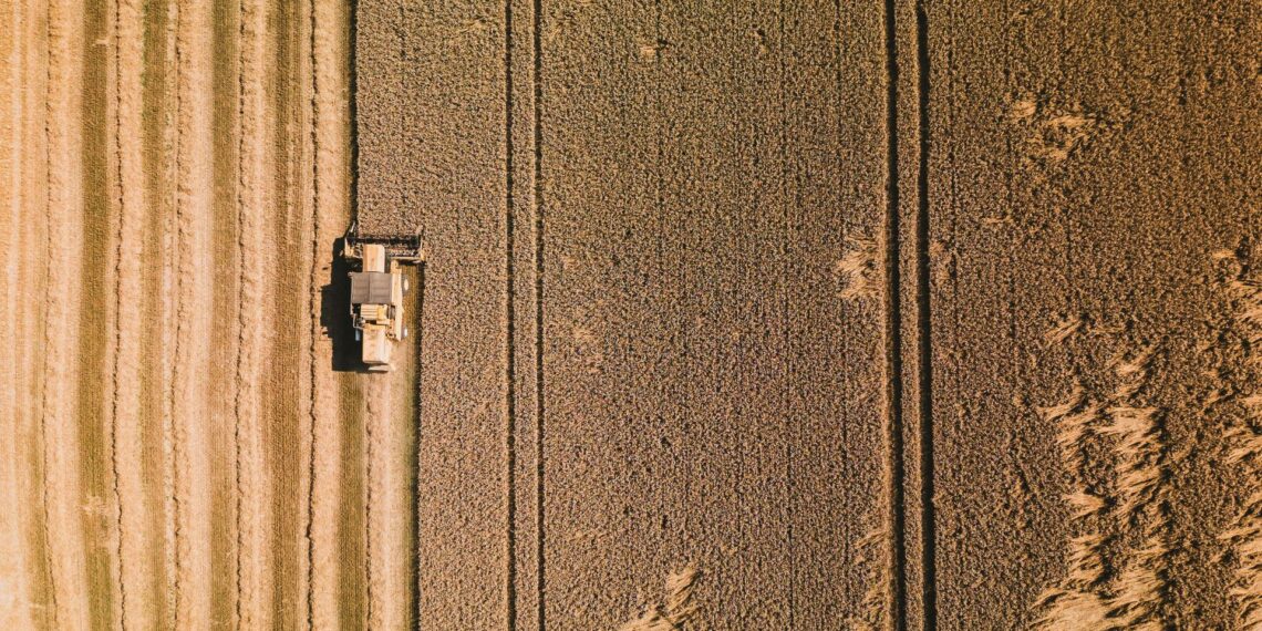 For Africa to achieve food security, an integrated plan needs to be implemented, says Hamond Motsi. Photo: Pexels