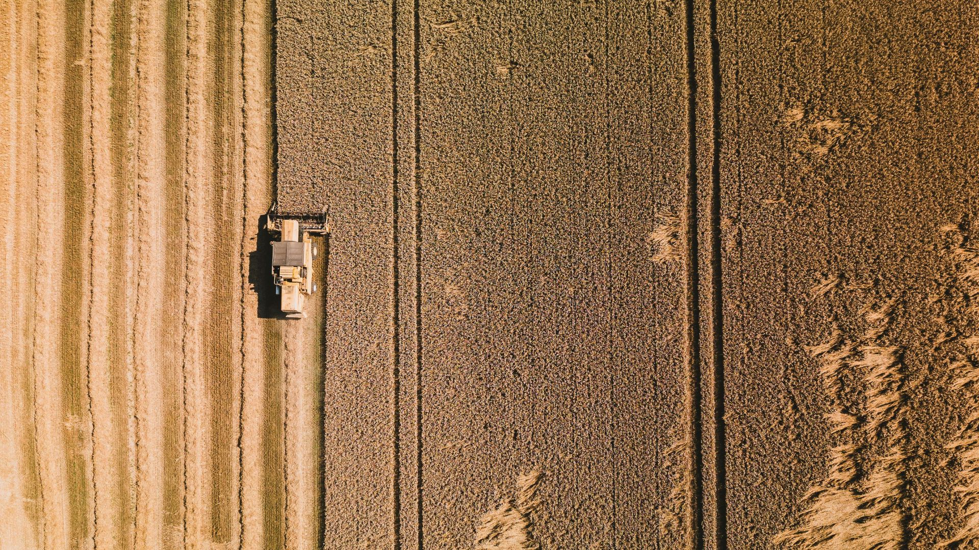 Africa’s food future: Urgent action for a secure 2026