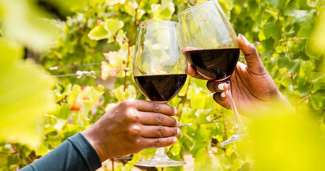 South Africa’s wine industry delivers a resilient 2026 harvest despite climatic challenges. Photo: Supplied/Food For Mzansi