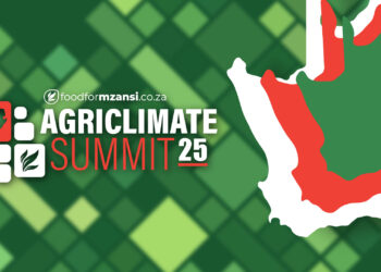 Farmers, scientists, and policymakers are set to unite at the 2025 Summit on Climate Change and Agriculture in Pretoria to chart a resilient future for South African farming. Image: Gareth Davies/Food For Mzansi