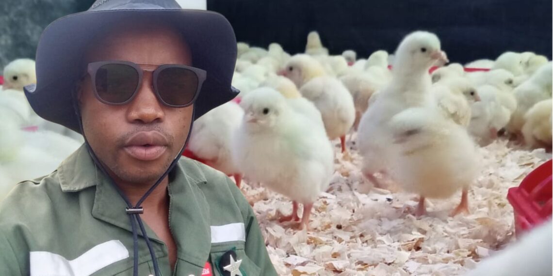 Tshegofatso Maditsi started farming in high school with a vision beyond his backyard. Today, he runs Chego Farming Complex in Limpopo, supplying fresh poultry and creating local jobs. Photo: Supplied/Food For Mzansi