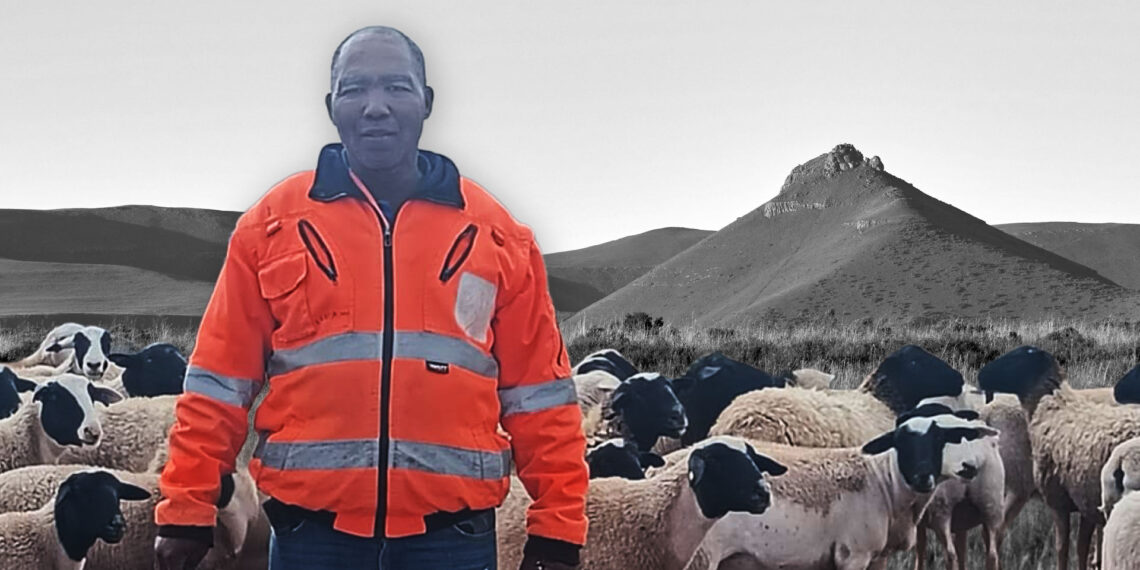 Northern Cape farmers, such as Frans Baartman, are stuck in survival mode, unable to expand due to small land allocations and a lack of water. Their struggle highlights a critical issue: farmers need more than just land; they need secure tenure, adequate space, and essential resources to thrive. Photo: Tiisetso Manoko/Food For Mzansi