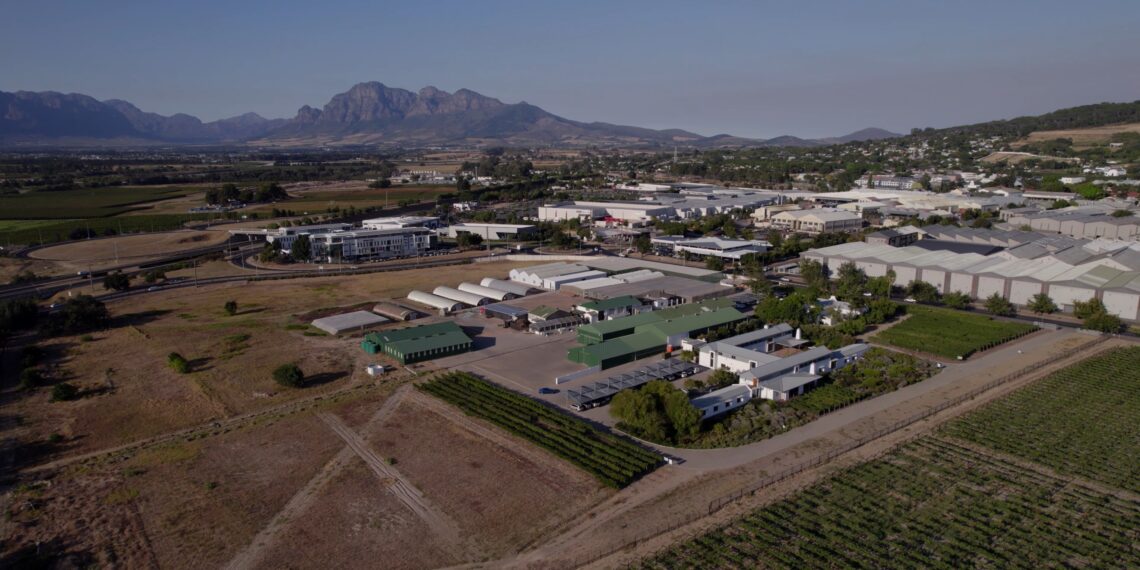 Watch how SAWIPB is flipping the script on skills development in the wine industry. "We are Wine" captures how SAWIPB is shaping a future with the next generation of wine pros. Photo: Jean Rossouw/YehBaby Marketing Creatives