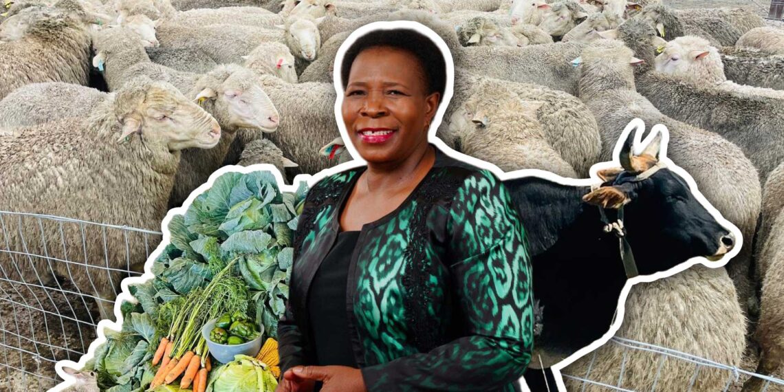 Eastern Cape MEC Nonceba Kontsiwe unveils a bold strategy to boost rural food production, cut costs, and ensure year-round access to fresh produce. Photo: Gareth Davies/Food For Mzansi