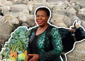 Rising hunger spurs call for EC rural food revival
