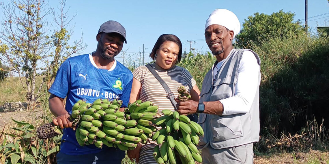 From left: Sihle Ntozini, Phiwokuhle Myoyo and Mangaliso Balelo are among the farmers navigating both growth and hardship as Buffalo City Municipality continues to battle a prolonged water crisis.
Photo: Vateka Halile/Food For Mzansi