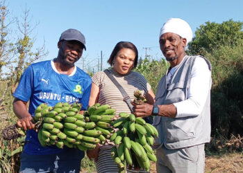 Water woes leave EC farmers high and dry