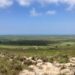 Rangelands under pressure: Saving SA’s grazing heartland
