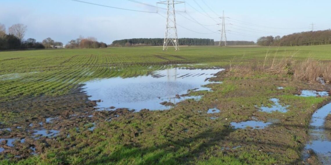 Identify and managing free soil water can protect crops and boost long-term farm resilience. Photo: Wikimedia commons