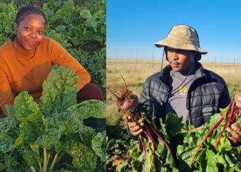 Kealeboga and Lesego plant dreams and grow a movement