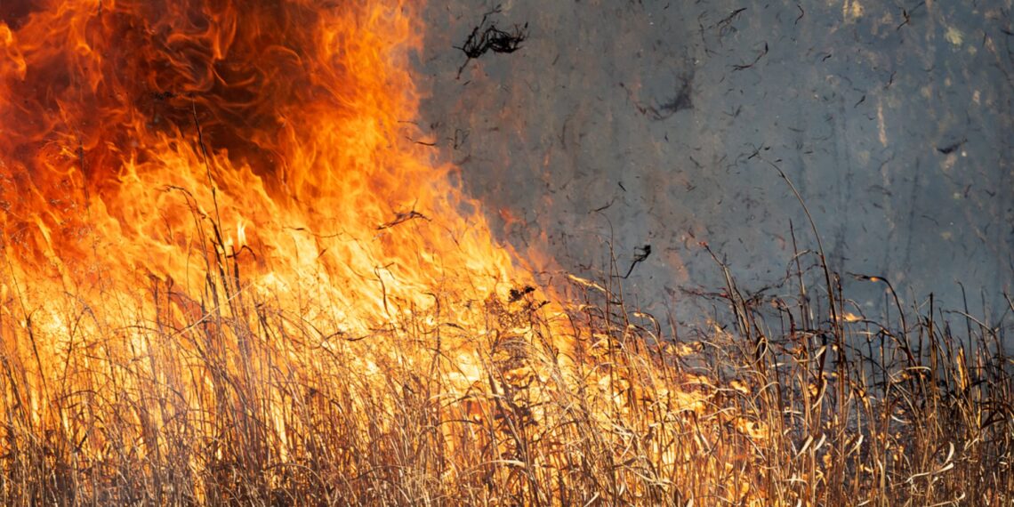 As South Africa enters its peak fire season, experts stress the importance of coordinated firebreaks, traditional fire knowledge, and early preparation to protect their livelihoods. Photo: Pixabay
