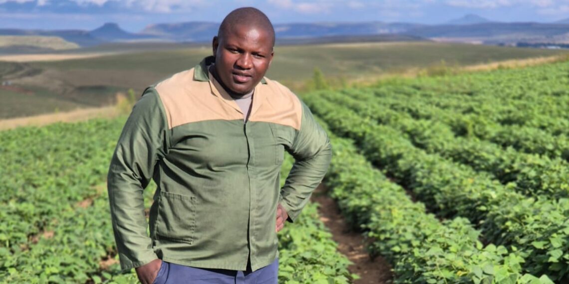 From a small backyard plot to a 374-hectare farm, Qenehele “Vusos” Mavuso is building a diversified agricultural enterprise driven by passion, resilience, and a vision. Photo: Supplied/Food For Mzansi