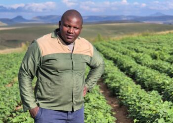 Grandfather’s garden unlocks big dreams for FS potato farmer