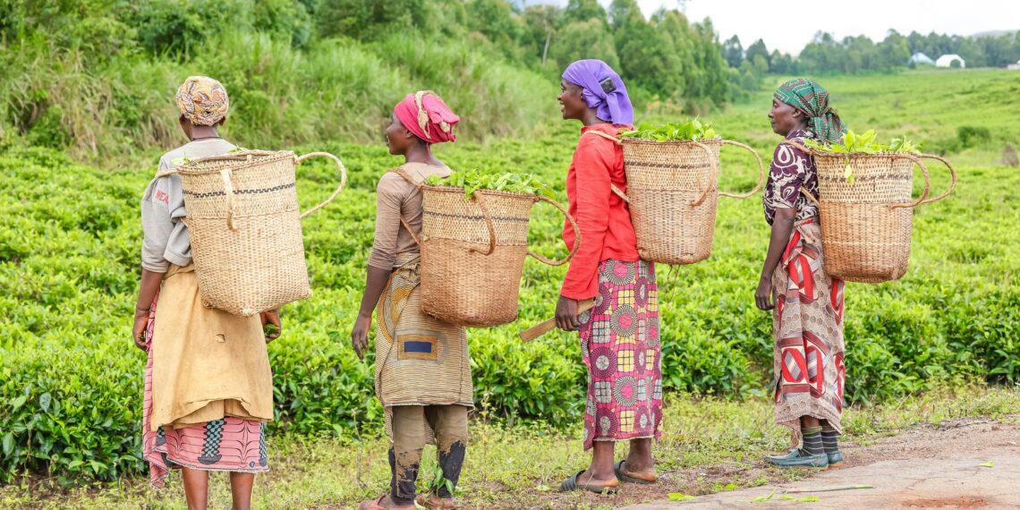 Floods, droughts, and disrupted markets threaten Africa’s small businesses. Yet amid rising climate shocks, women entrepreneurs are proving remarkably adaptive. Photo: Pexels