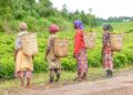 Floods, droughts, and disrupted markets threaten Africa’s small businesses. Yet amid rising climate shocks, women entrepreneurs are proving remarkably adaptive. Photo: Pexels