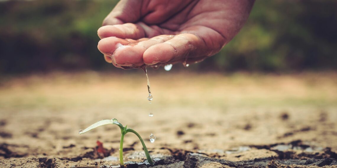 Experts warn that South Africa’s water scarcity can no longer be treated as a temporary seasonal crisis. Photo: Pexels