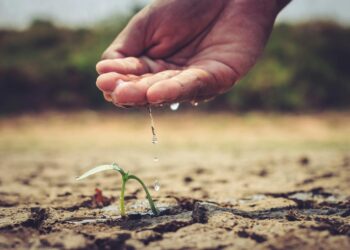 These water-saving solutions can help farmers stay afloat
