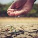 These water-saving solutions can help farmers stay afloat