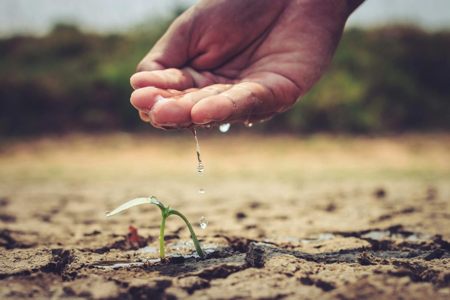 SA’s water crisis: A permanent threat to farming and economy
