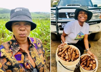 Hijacked and left for dead: KZN farmer finds healing in the soil