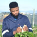 Group 500 Africa builds stronger farms through unity