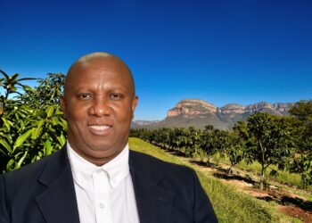 Land reform failure: Ideas not the issue, delivery is