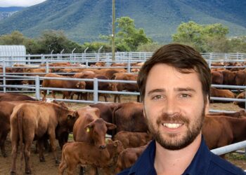 Red Meat Producers’ Organisation