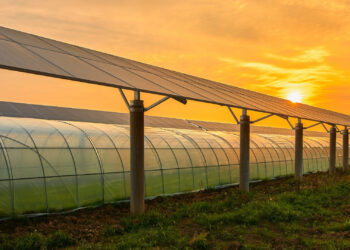 Farm smarter: How to build energy resilience and cut costs
