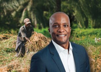 Youth-led farming sparks hope and transformation