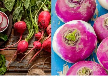 Turnips