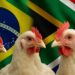 FairPlay founder Francois Baird warns South Africa to stay vigilant as Brazilian chicken returns to shelves, citing past scandals from drug smuggling to food safety lapses. Image: Food For Mzansi