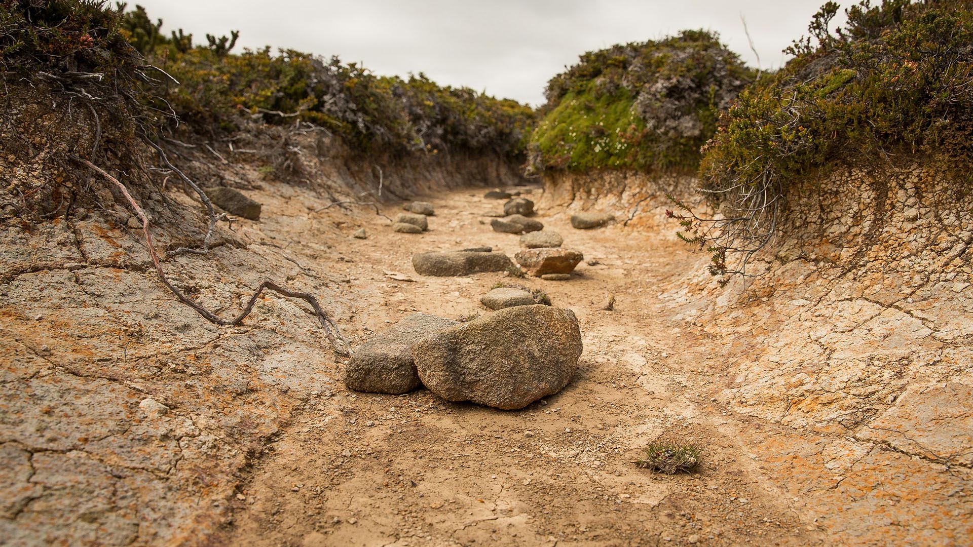 New climate commission takes charge as SA faces crisis