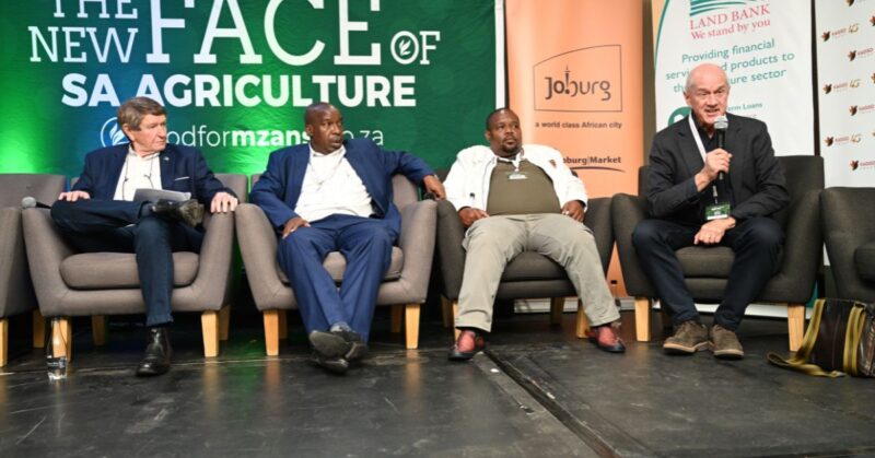 Kallie Schoeman, David Mthombeni (Agda deputy chairperson), Dr Siyabonga Madlala (executive chairman of Safda), and Roelf Meyer (co-chair of the National Dialogue eminent persons group) share insights during the 2025 Agricultural Transformation Lekgotla. Photo: Food For Mzansi