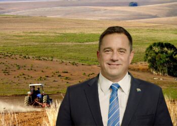 Steenhuisen salutes Mzansi’s women in agriculture