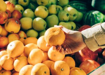 The fruit industry partners with Cape Town port for an effective peak season. Photo: Supplied/Food For Mzansi
