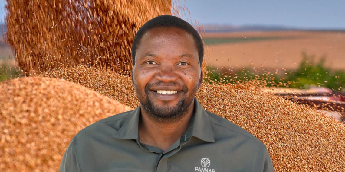 Reggie Mchunu is the key accounts manager at Pannar. Photo: Duncan Masiwa/Food For Mzansi