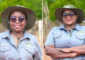 Family roots inspire Limpopo cousins’ rise in organic farming