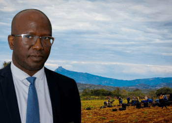How technology empowers farmers to access finance