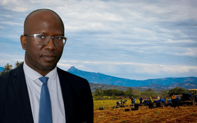 How technology empowers farmers to access finance - Food For Mzansi
