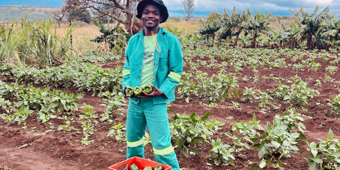 Silindokuhle Mabaso quit university and found purpose in farming. Photo: Supplied/Food For Mzansi