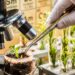 Though many don’t fully understand plant breeding, learning about its role in improving food quality and resilience boosts public approval. Clear communication is vital to unlock broader acceptance of these innovations. Photo: Supplied/Food For Mzansi