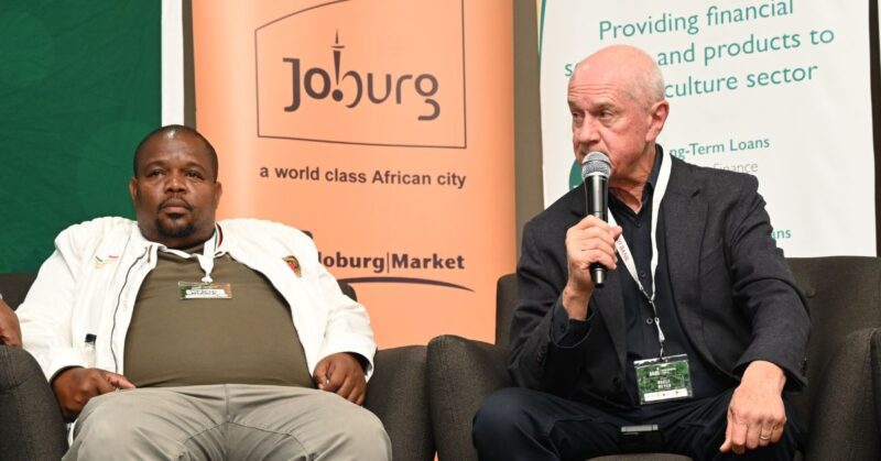 Dr Siyabonga Madlala, executive chairman of Safda, and Roelf Meyer, co-chair of the National Dialogue eminent persons group, discuss strategies for inclusive transformation at the 2025 Agricultural Transformation Lekgotla. Photo: Food For Mzansi