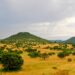PMB, KZN