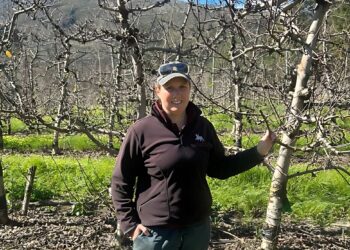 fruit farming