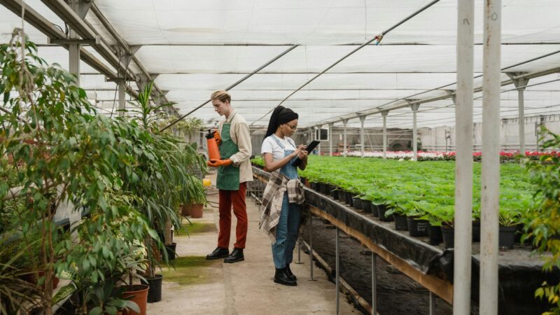 Effective pest management is essential for both soil-based and aquaponic systems. Photo: Pexels