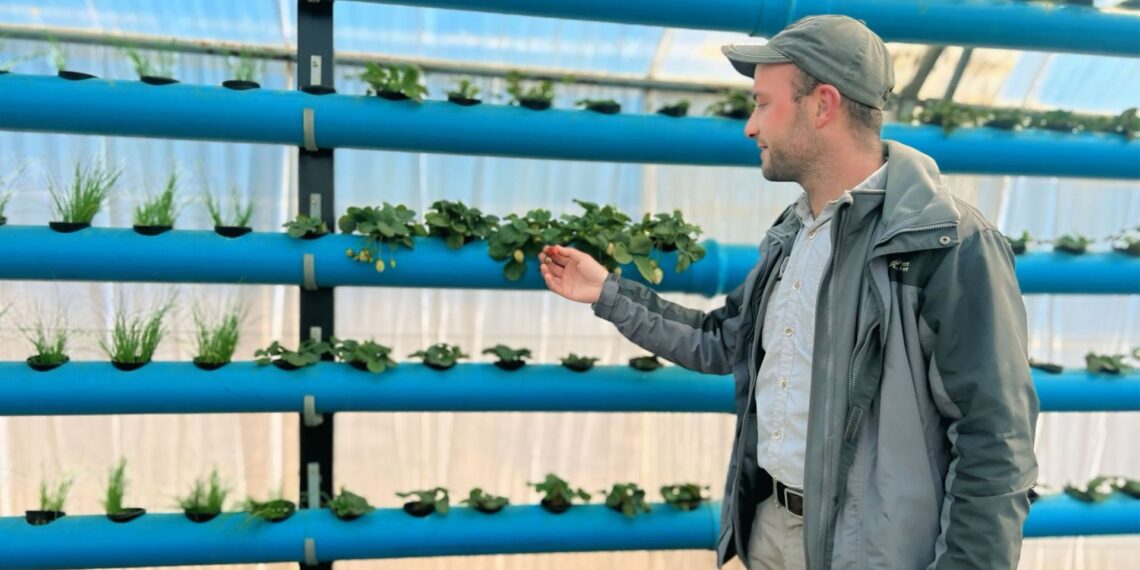 Stronger crop protection in greenhouses safeguards yields, reduces chemical reliance, and keeps pests and diseases from threatening your harvest. Photo: Food For Mzansi/Ivor Price