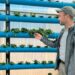 Stronger crop protection in greenhouses safeguards yields, reduces chemical reliance, and keeps pests and diseases from threatening your harvest. Photo: Food For Mzansi/Ivor Price