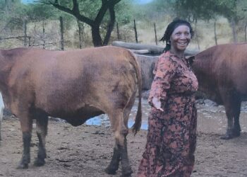 From backyard to 650 ha: Malete’s farm feeds more than families