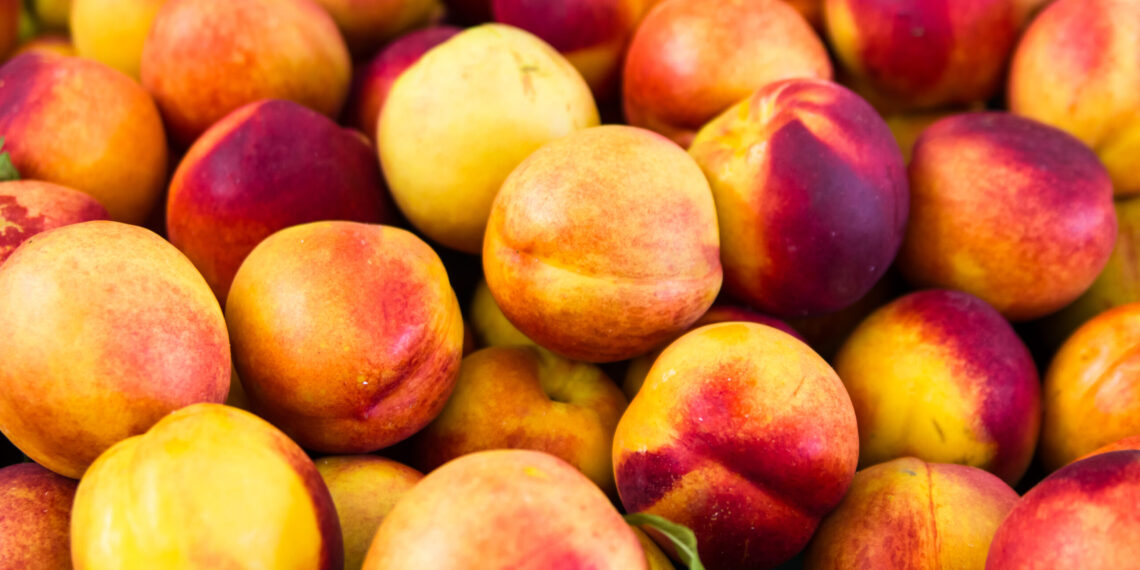 Stone fruit